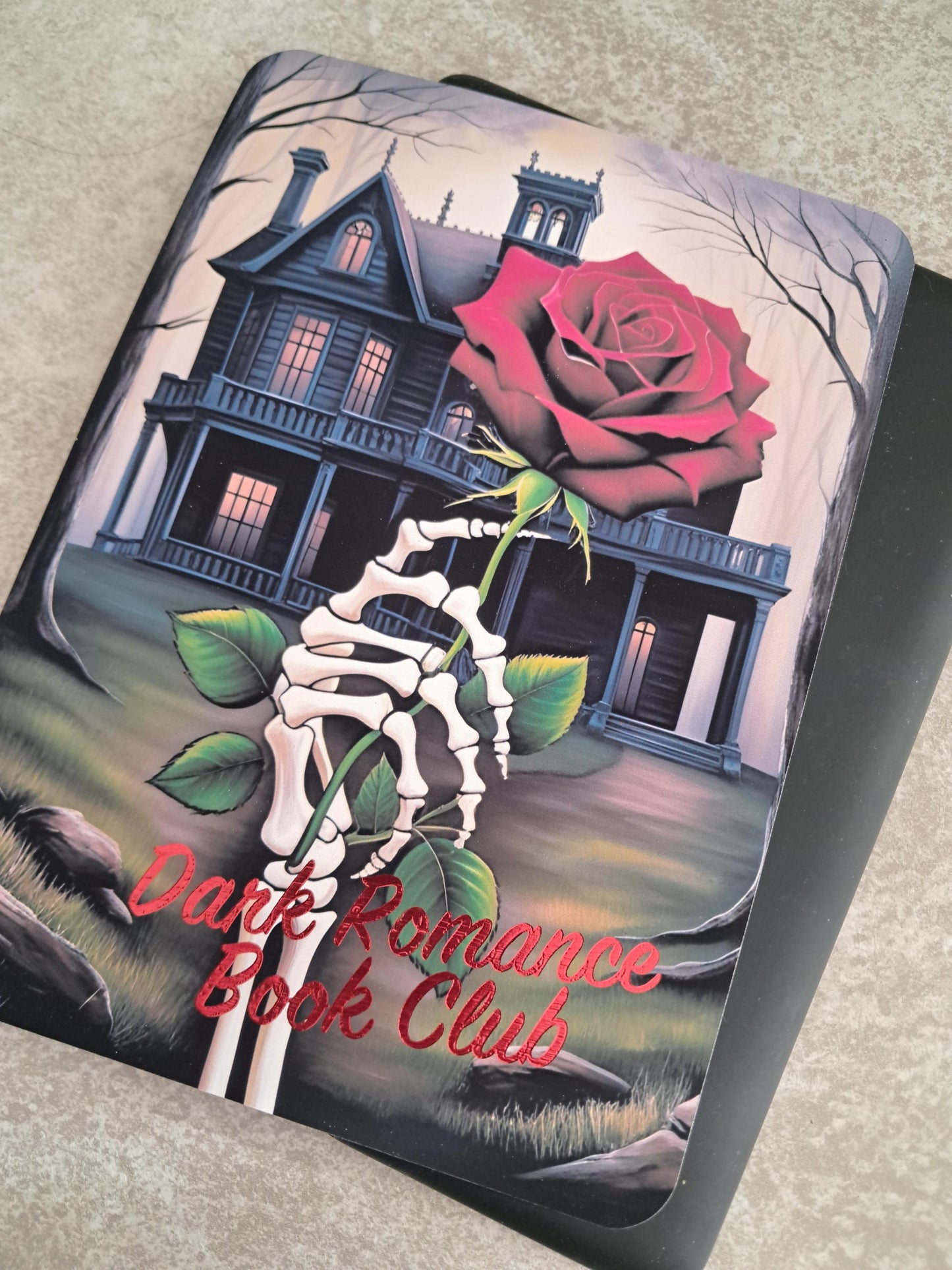 Haunting Foiled Kindle Clear Case Insert | Reader Gift | Bookish | roses | Decor | Stickers | Booktok | Little Mouse | Adeline dark romance
